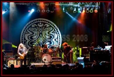 govt_mule-19